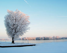 An image of January.